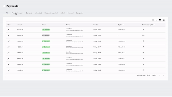 randevu backoffice payments overview